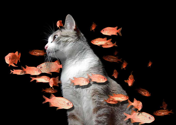 The Dream of Figaro