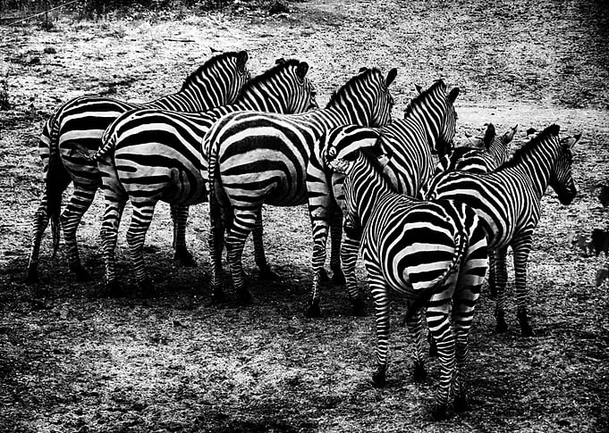 In a row