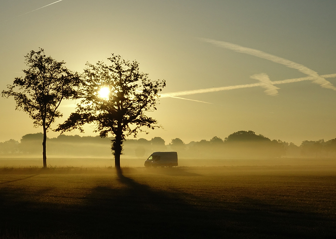 Early in the morning