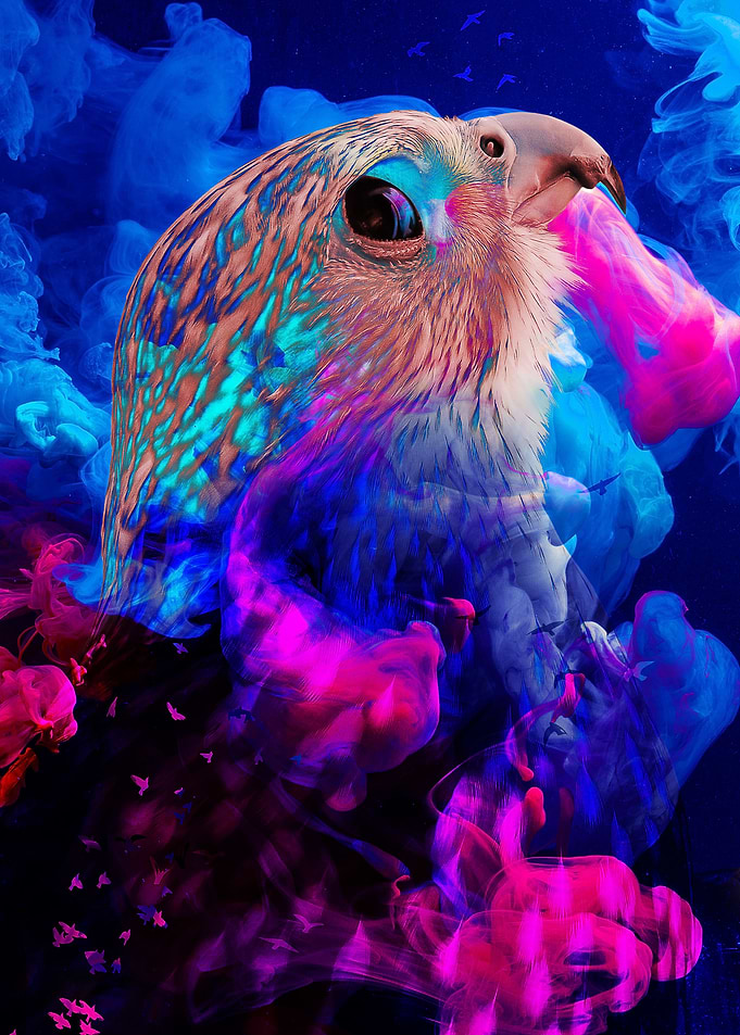 Falcon