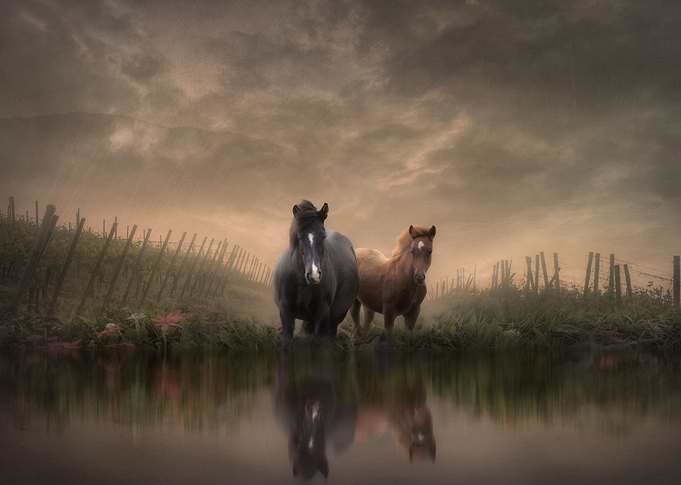 At the Water's Edge
