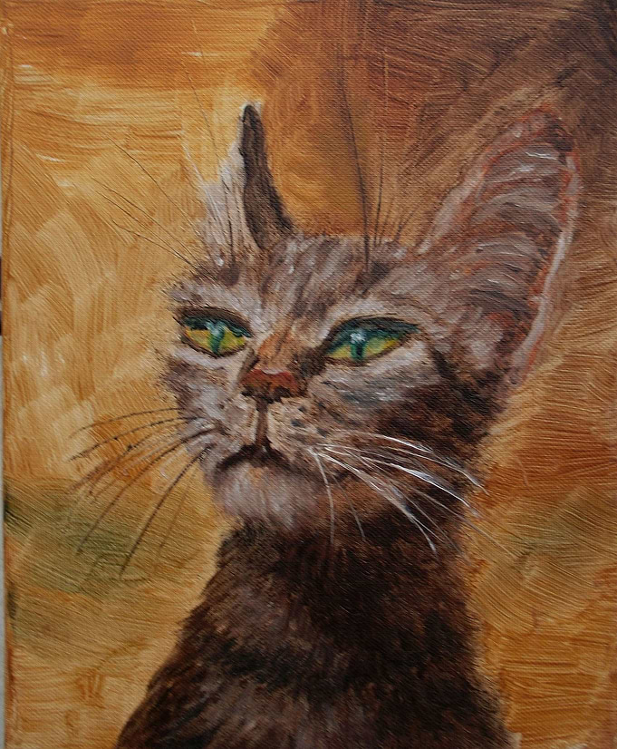 Optimistic cat