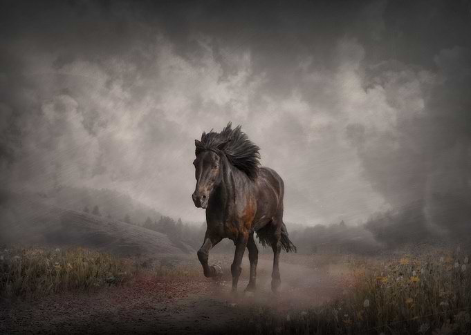 The Long Road Home