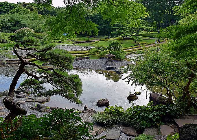 Japanese garden