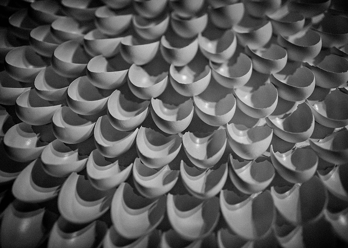 EGGS' SHELLS