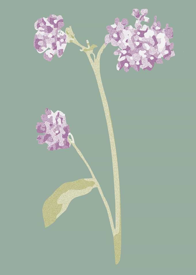 Vintage flowers