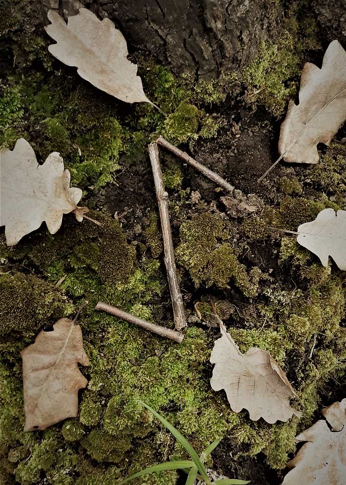 Ihwaz Rune