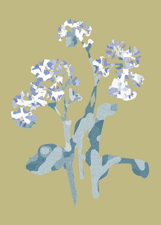 Vintage flowers