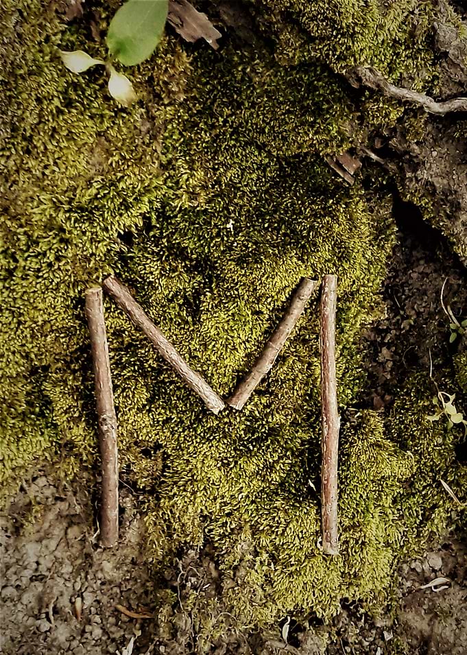 Ehwaz Rune