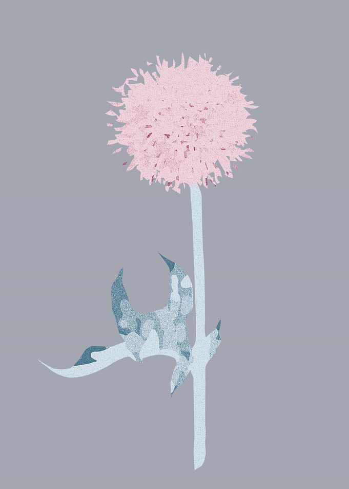 Vintage pink flowers