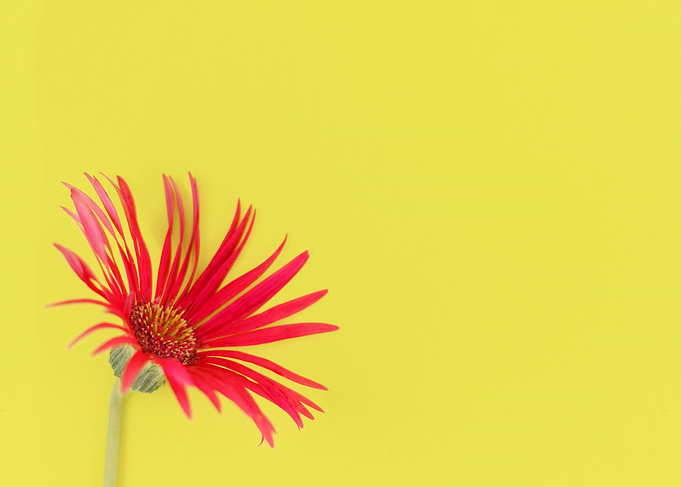 Against yellow