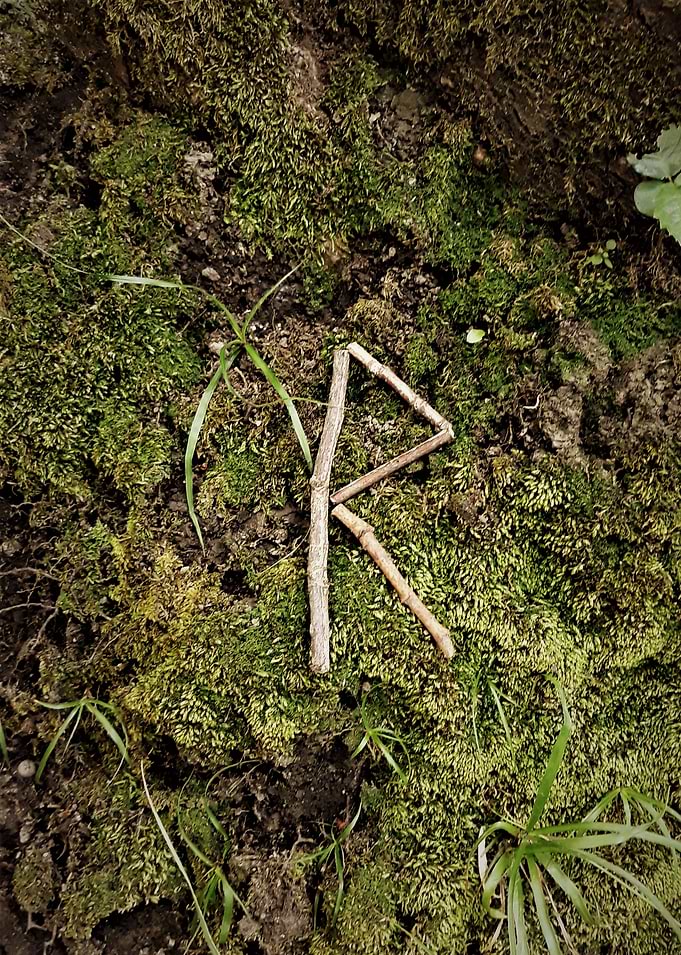 Raidho Rune