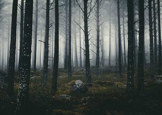 THe Darkness