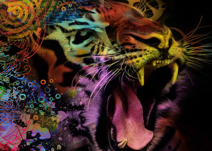 Tiger Bomb