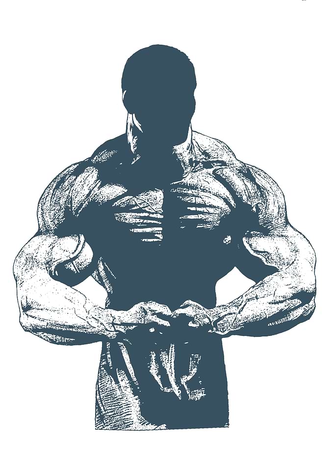 the Most Muscular