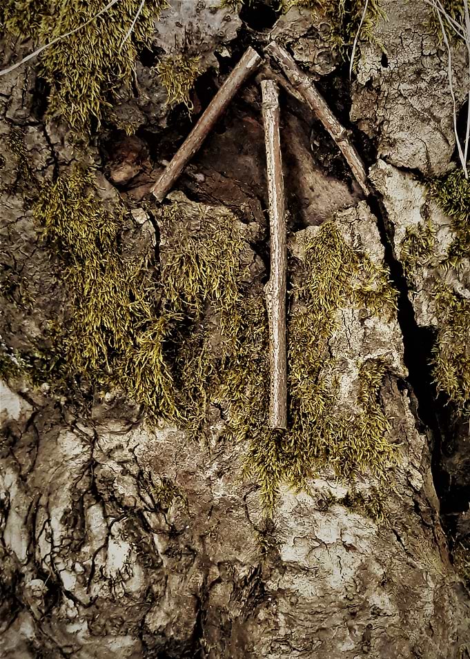 Tiwaz Rune