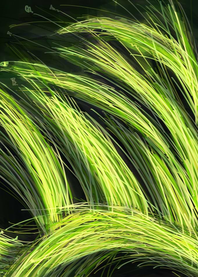 GRASS