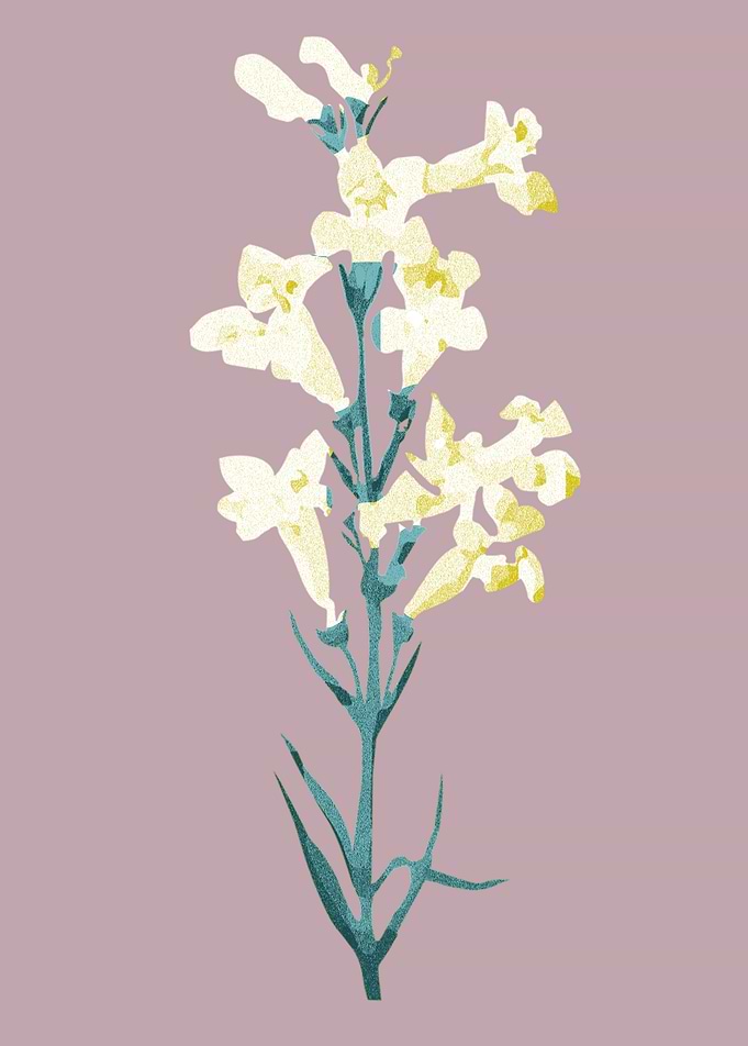 Vintage flowers