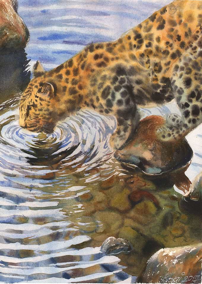 Jaguar