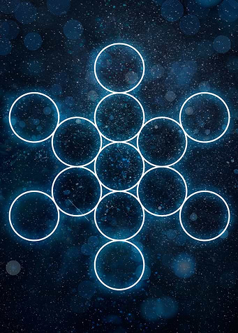 The fruit of life