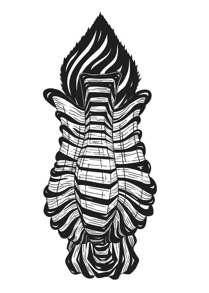 Zebra stripes