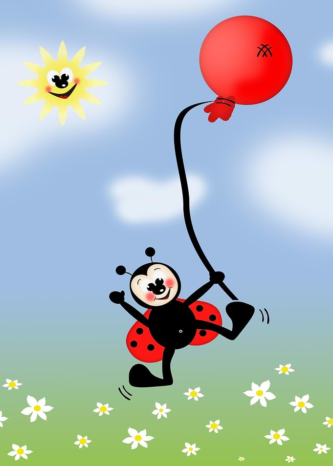 Ladybug 2