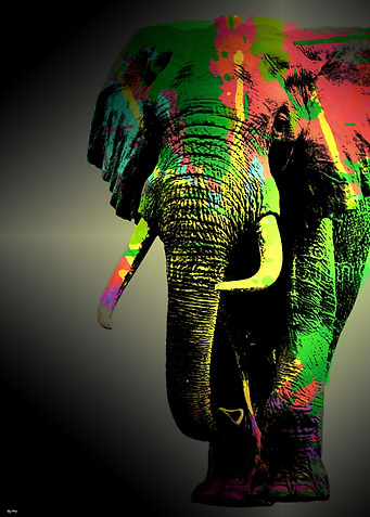 la vie en couleur
