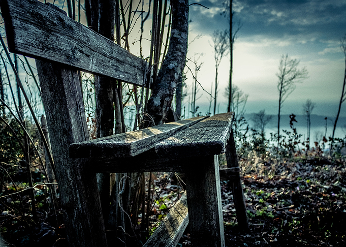 Lonely Wait