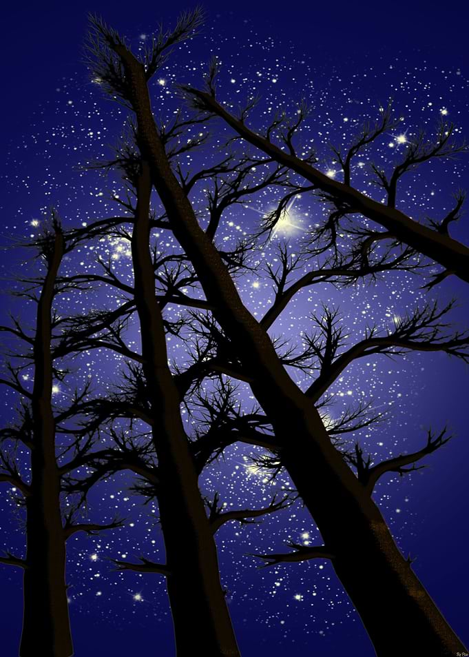 night of dreams