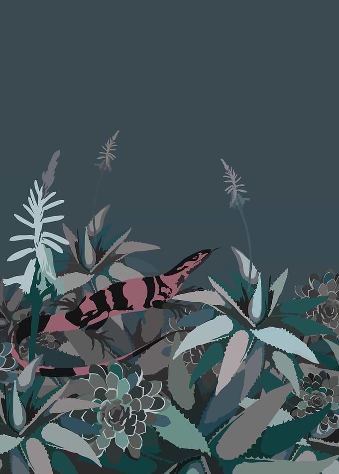 Lizard aloe