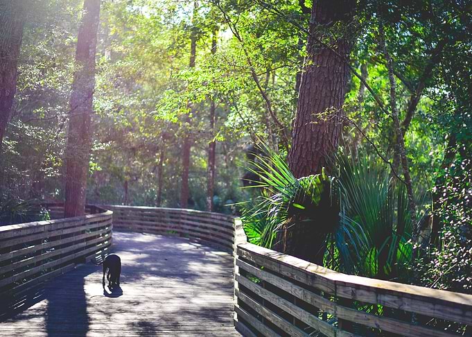 Loblolly Woods Nature Park
