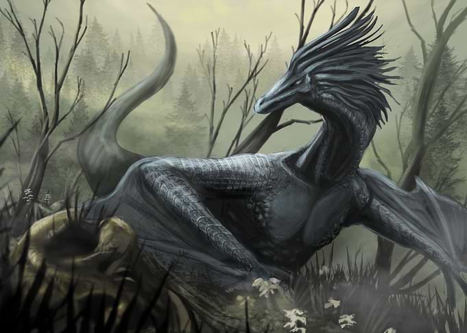 Traveler of the mist