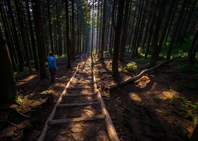 Into the sunrise