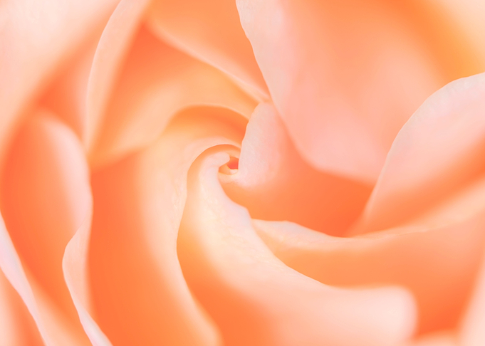 Blooming Pretty