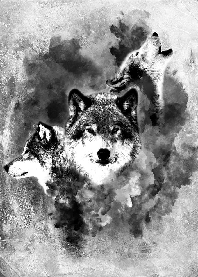 Abstract Wolf