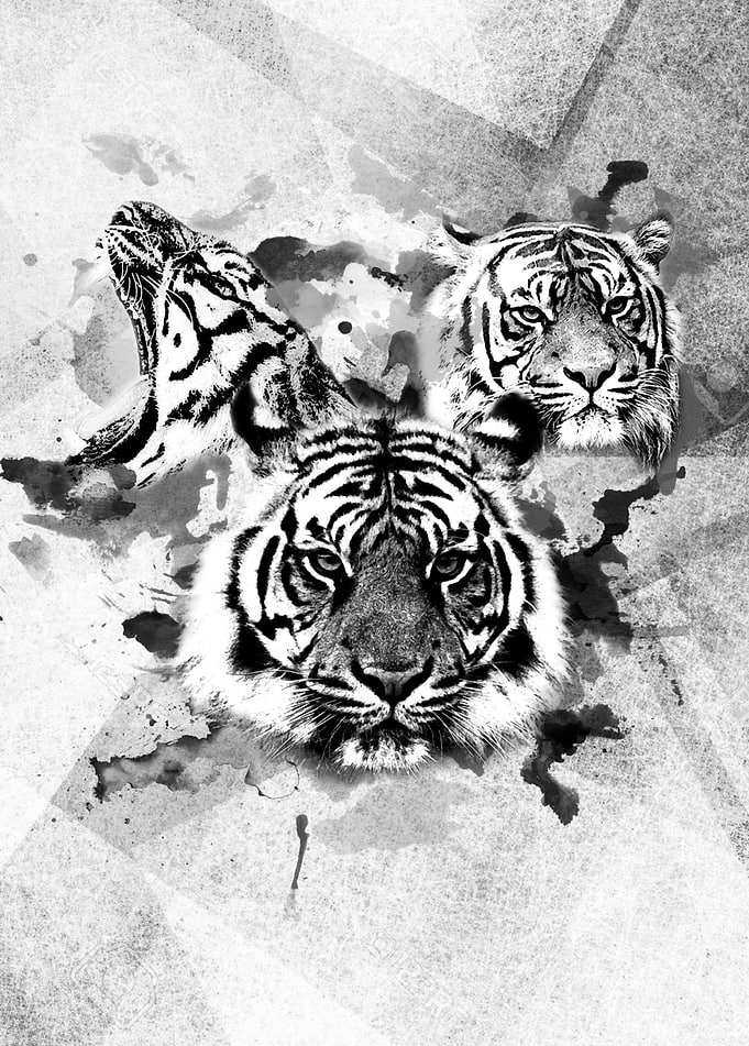 Abstract Tiger