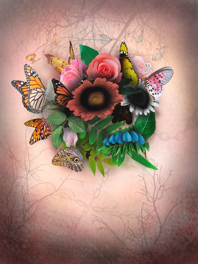 Skull with butterfly