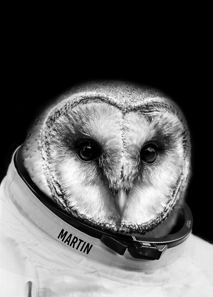 owl astronaut