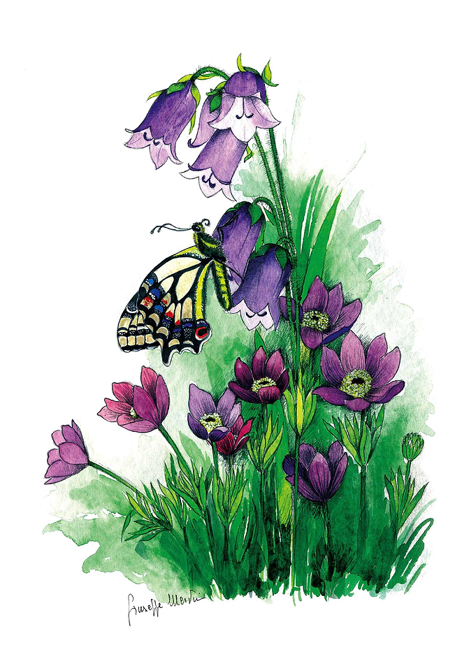Butterfly in the Bells