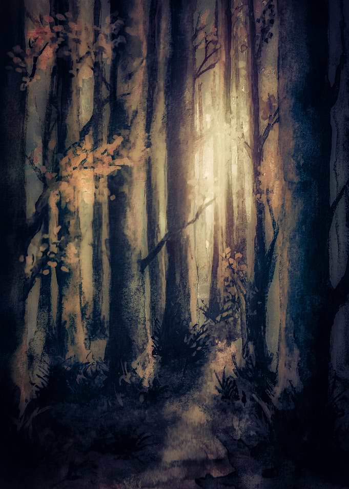 Into The Forest XII