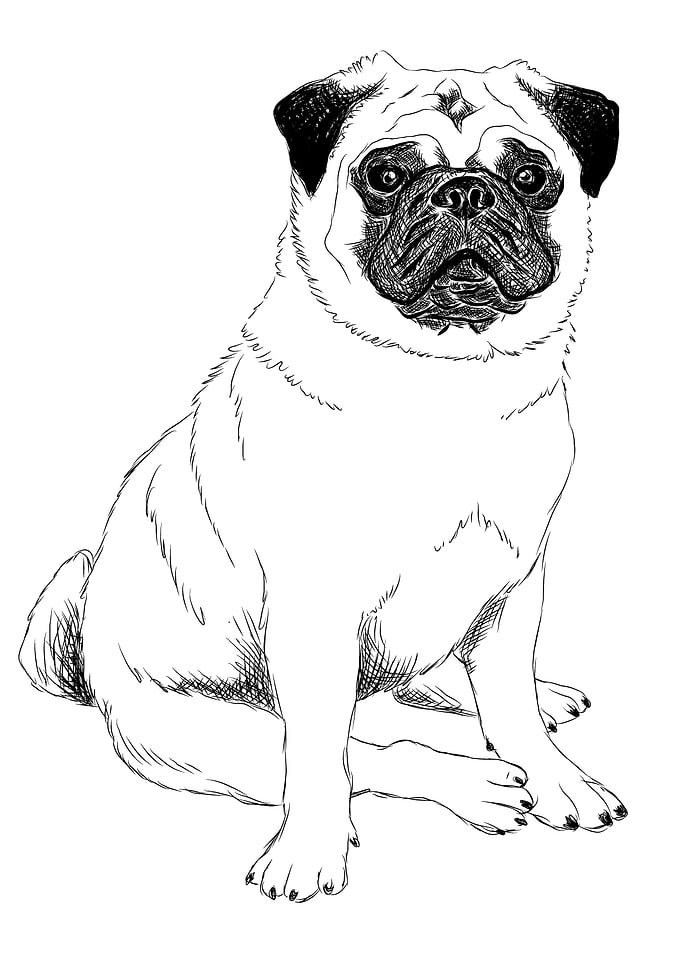 Black and white mops