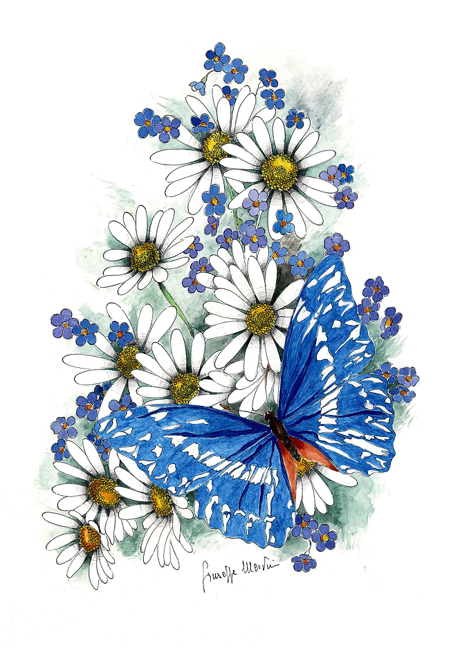 Blue Butterfly