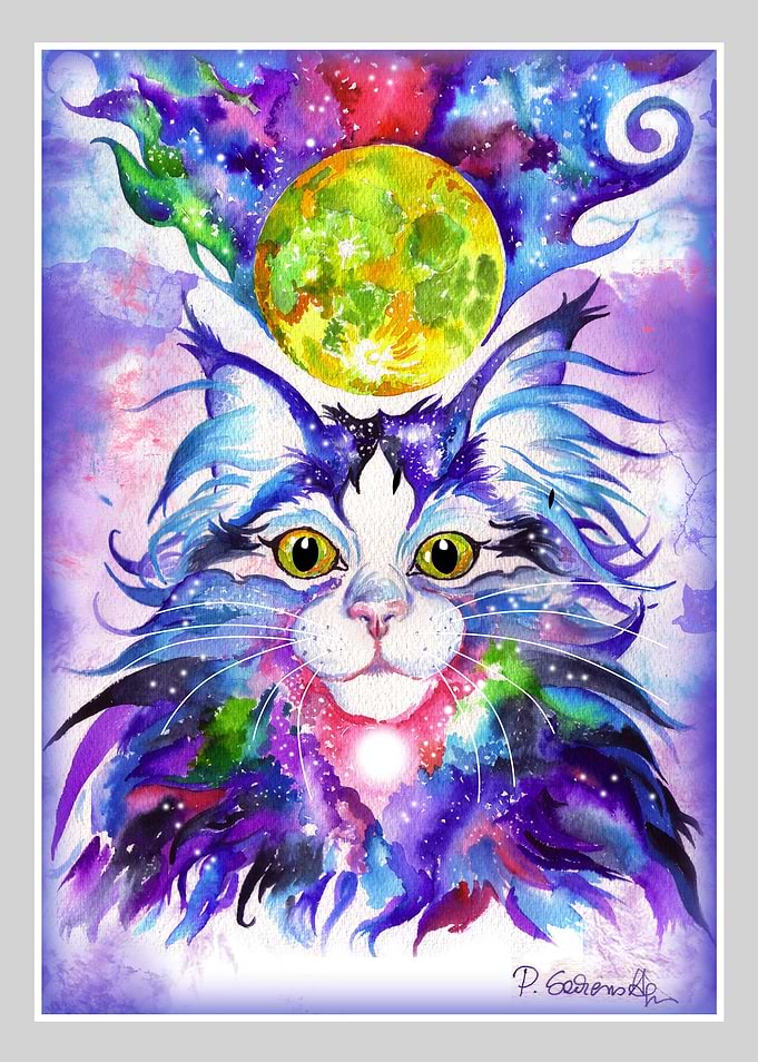 Cosmic Kitty