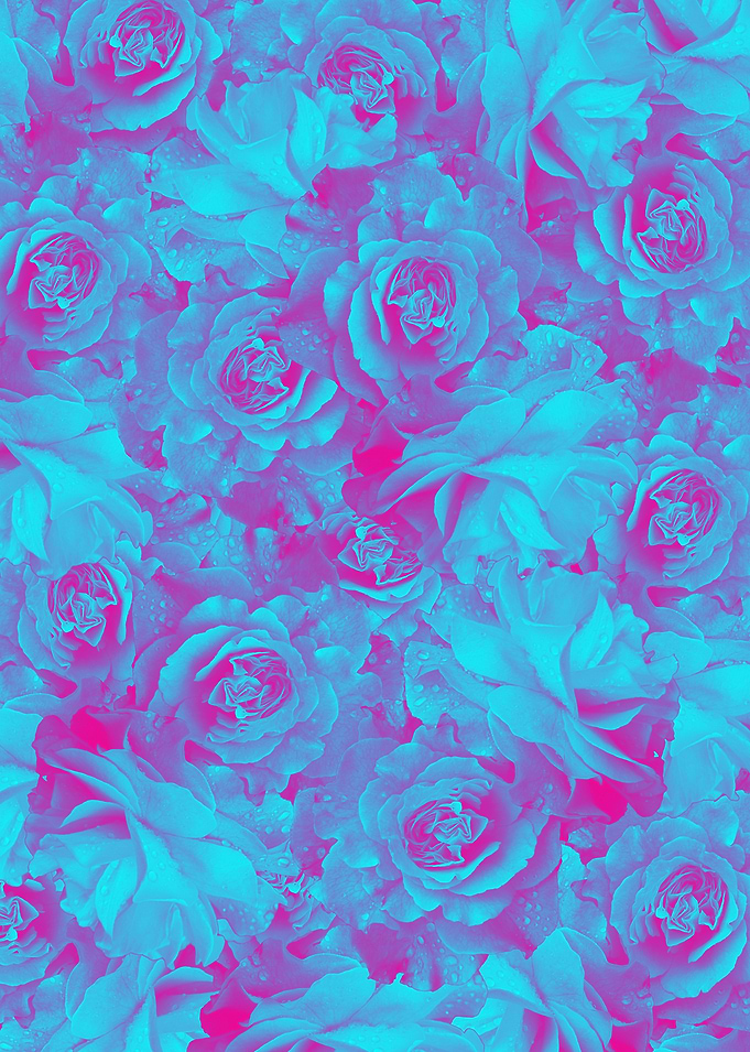 flowers 23