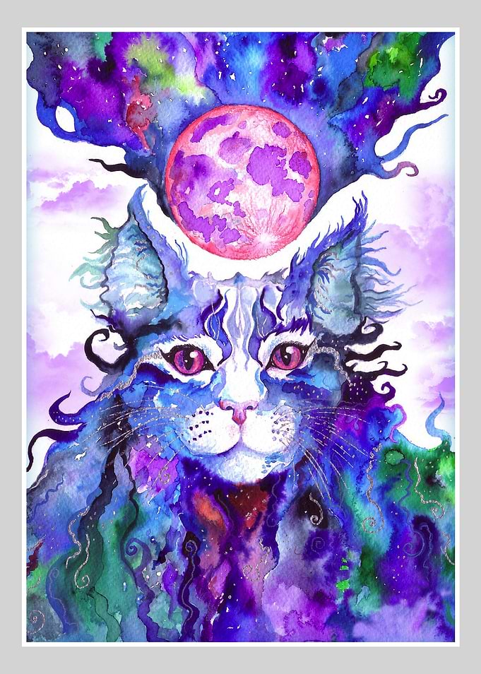 The Cosmic Cat