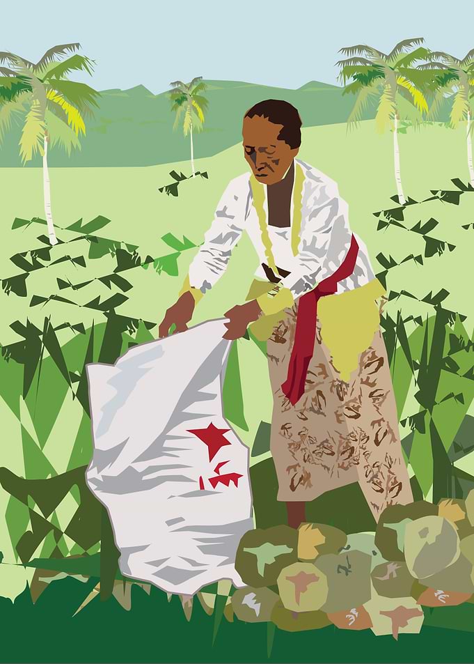woman loading coconuts