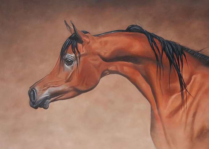 The Aristocrat