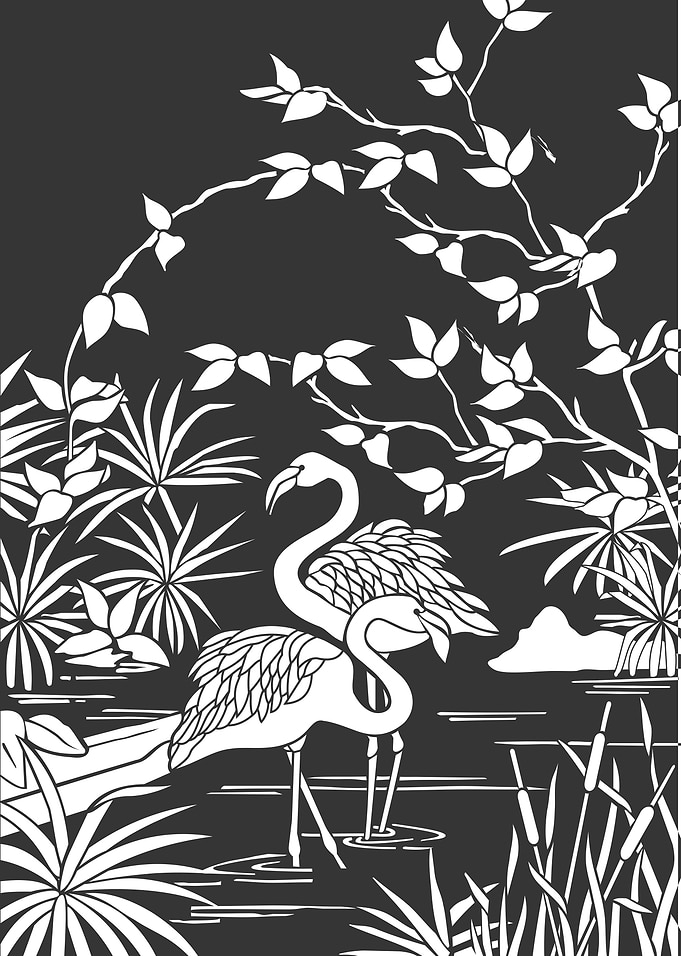 Flamingos