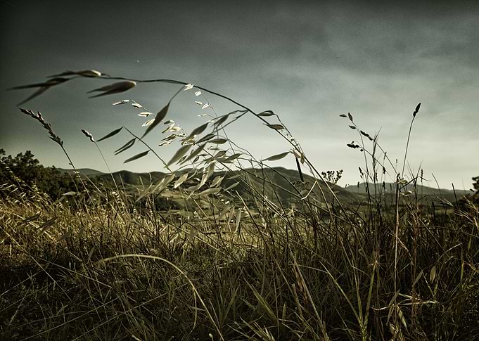 The wind over the hills