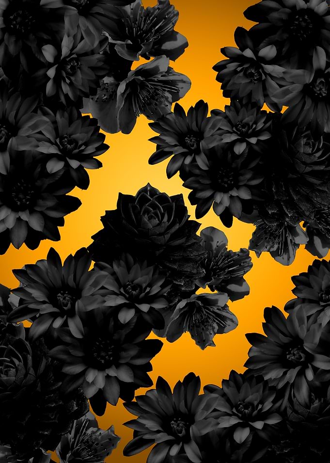 black gold